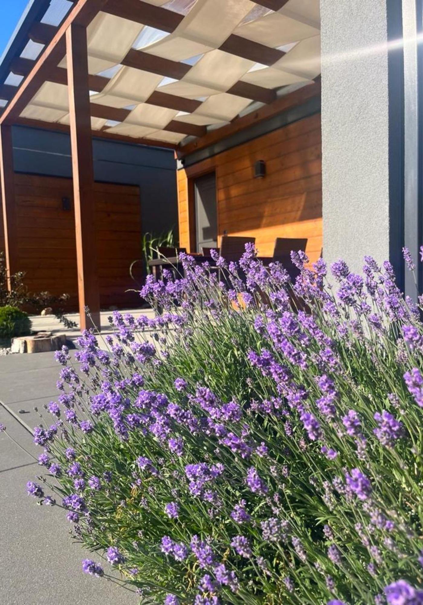 Cisza Bungalows Village / Blisko Natury Nowecin Exterior foto